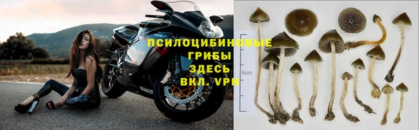 круглые Нягань