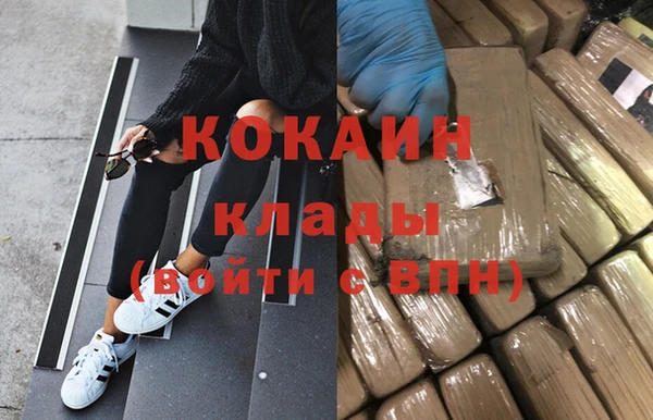 PSILOCYBIN Нязепетровск