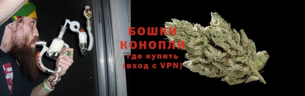 PSILOCYBIN Нязепетровск