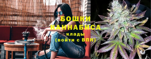 PSILOCYBIN Нязепетровск